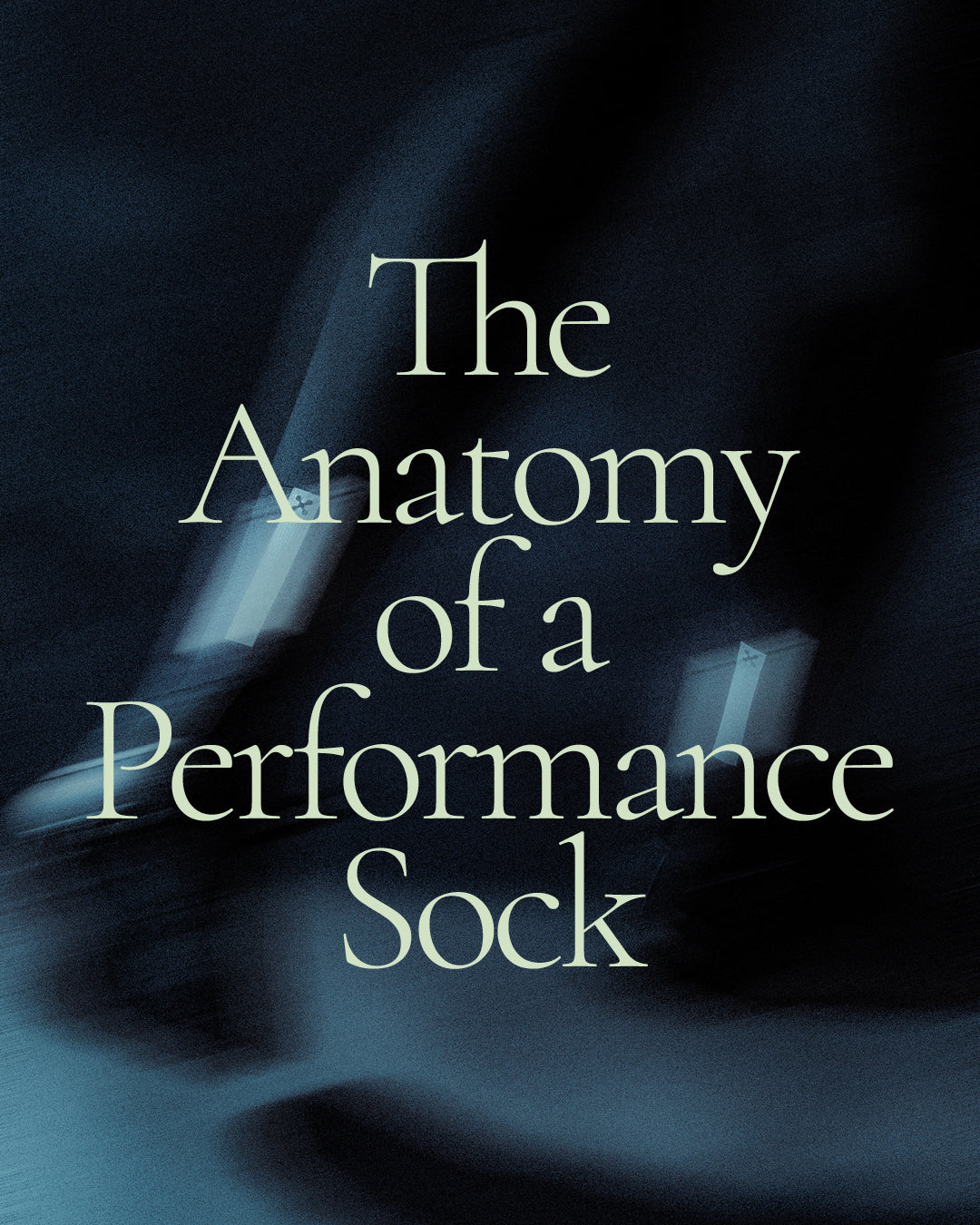 The_Anatomy_of_a_Performance_Sock_Blog_Hero