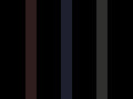 black two tone combo